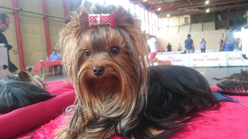 Lexy De Feeline In Love